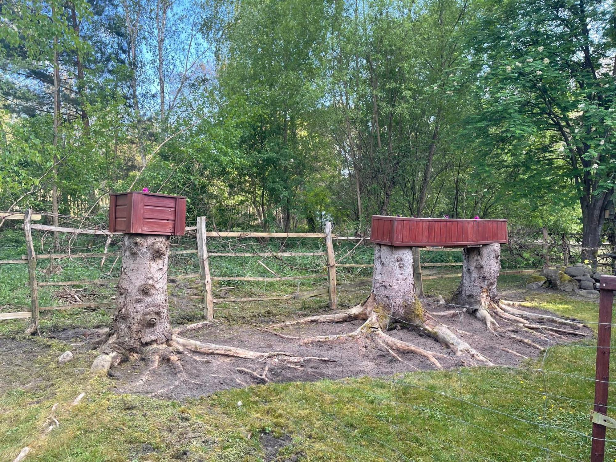 Villa U Gosi i Piotra Lubin  Esterno foto